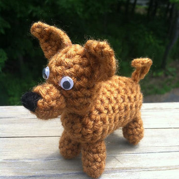 Wee Chihuahua
