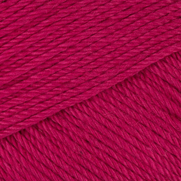 Raspberry (033)
