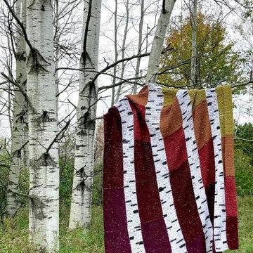 The Birch Blanket