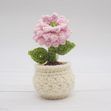 Dahlia in a Flower Pot