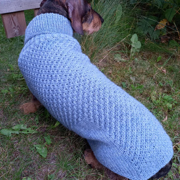 Tähti dog sweater