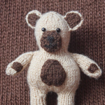 Cookie the mini bear