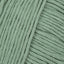 Sage (41112)