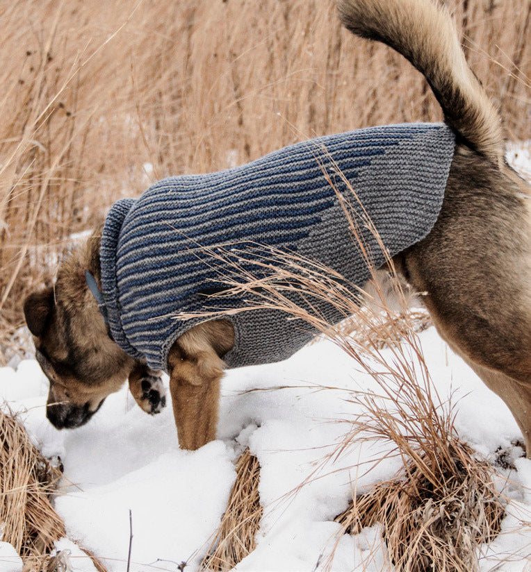 Bird Island Dog Sweater in Blue Sky Fibers Woolstok - 201610 - Downloadable PDF