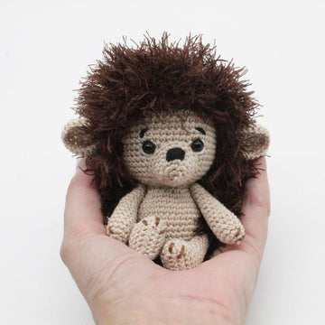 Baby Hedgehog