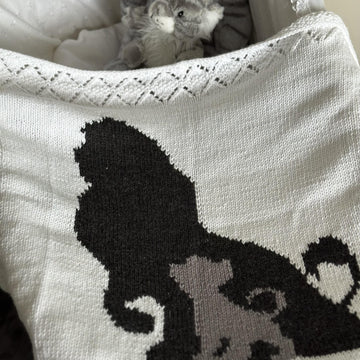 Lion King Baby Blanket