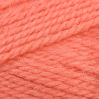 Sorbet (779)