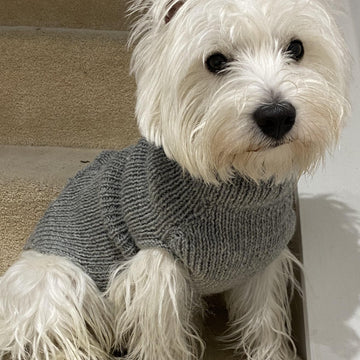 Dog Jumper - Haggis