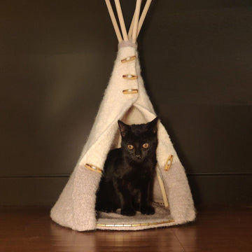 Felted TeePee