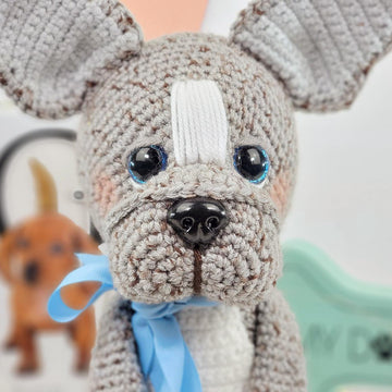 Cookie the French Bulldog