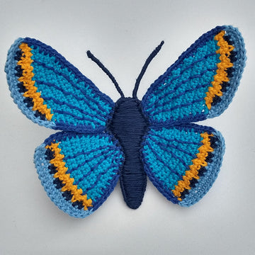 Karner Blue Butterfly