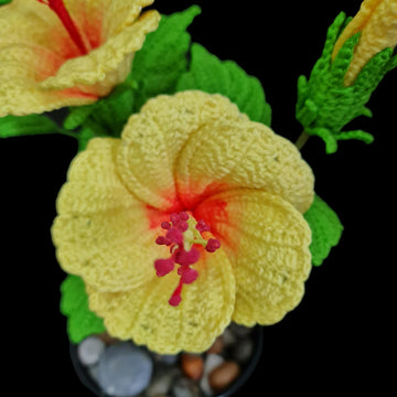 Crochet Hibiscus flowers