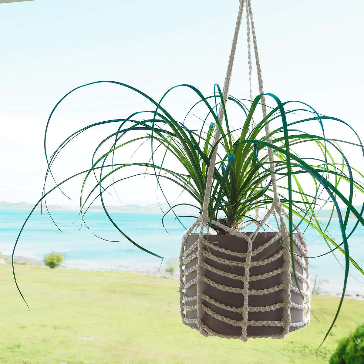 Easy Plant Hanger