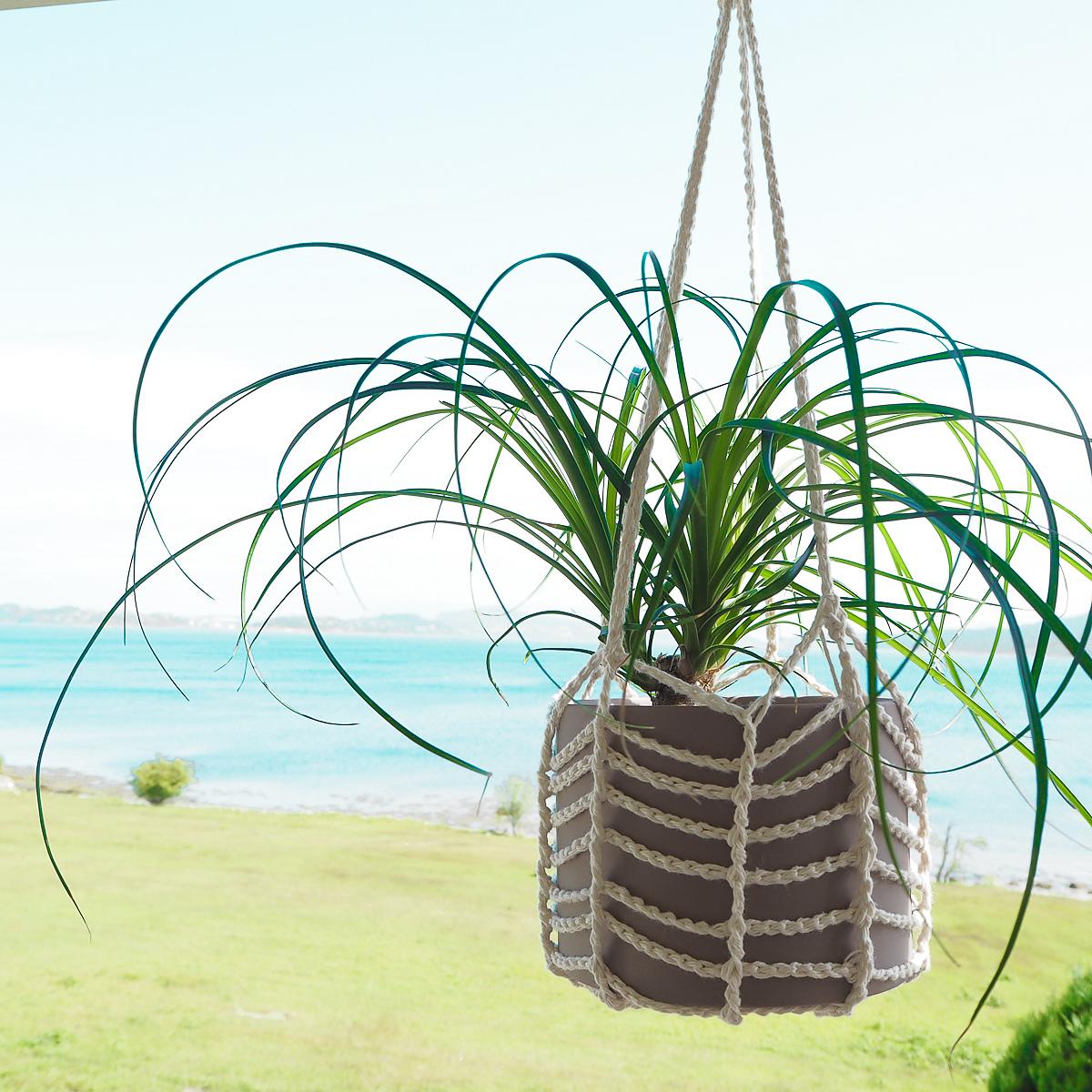 Easy Plant Hanger