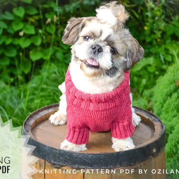 Lace cherry dress for dog