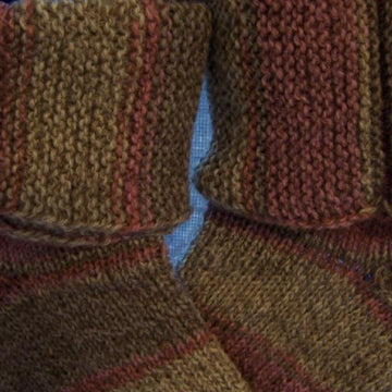 Sonata's Sox