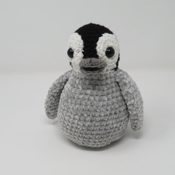 Hatching Penguin Chick