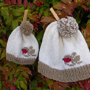 Winter Robin Hat