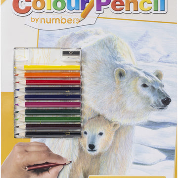 Royal Brush Color Pencil By Number Kit 8.75"X11.75" - Polar Love