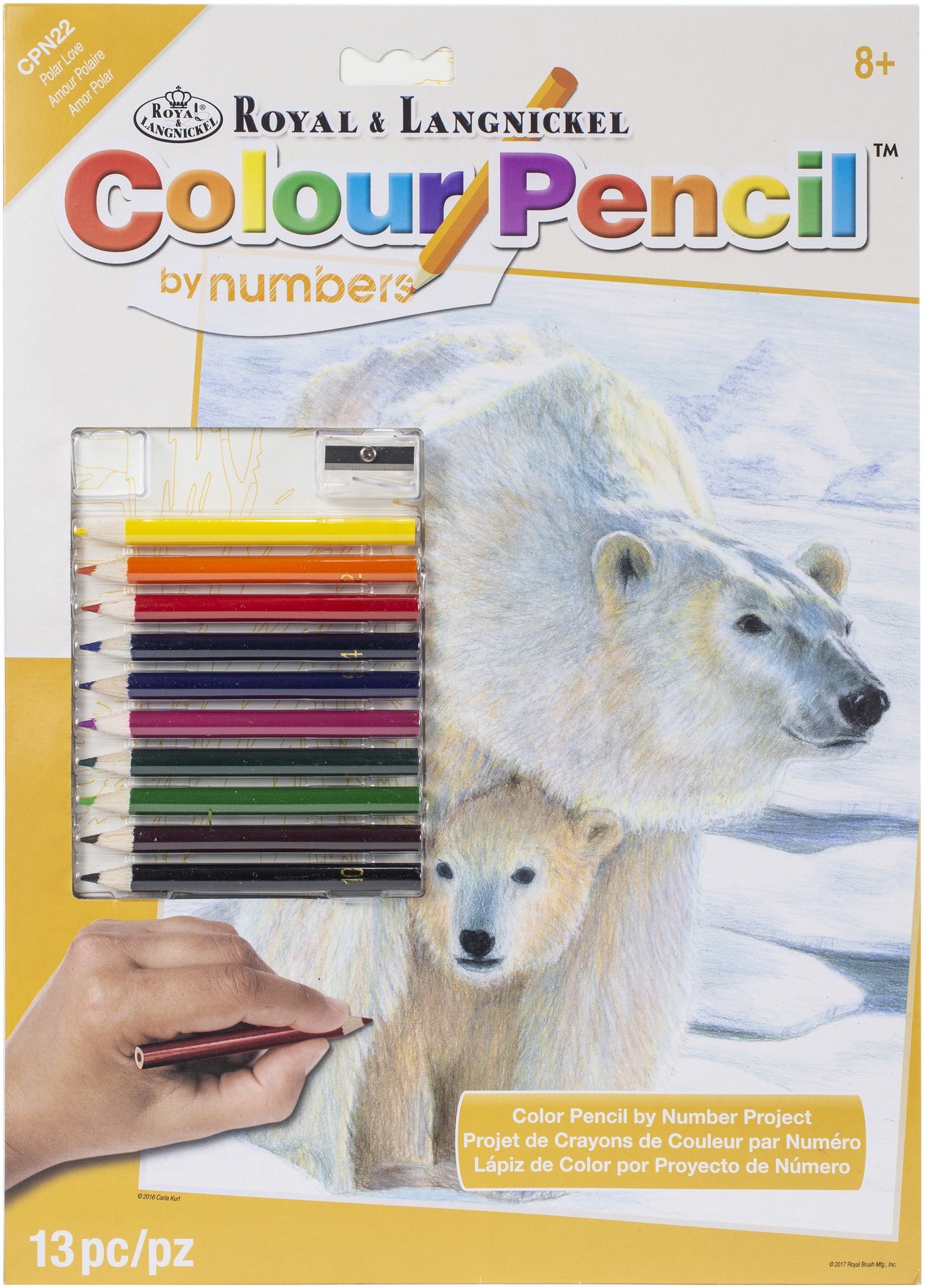 Royal Brush Color Pencil By Number Kit 8.75"X11.75" - Polar Love