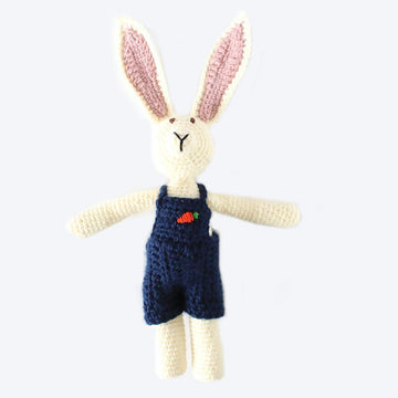 Jackson Rabbit