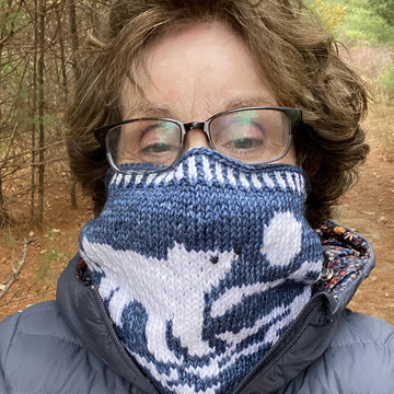 Polar Bear Plunge Cowl