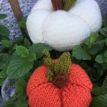 Pumpkin Duo
