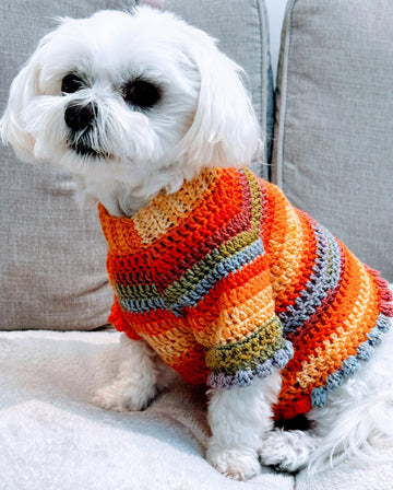 Autumn Dog Jumper
