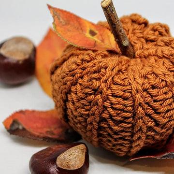 Pumpkins From The Patch