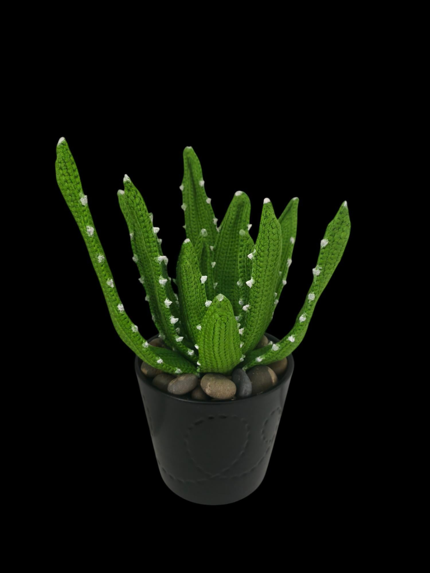 Crochet Aloe Vera plant