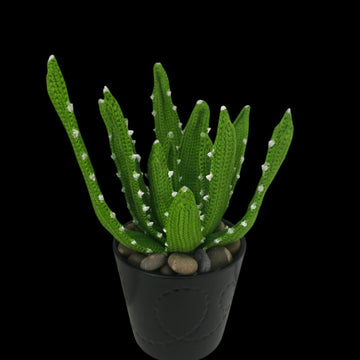 Crochet Aloe Vera plant