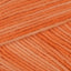 Beach Hut Orange (012)