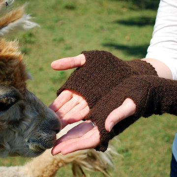 Filetage Fingerless Gloves
