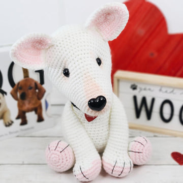 Champ the bull terrier