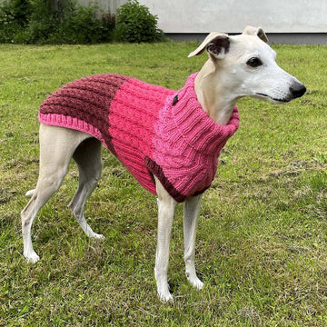 Dog Sweater ASHA CABLE