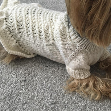 Knitted Dress for Dogs