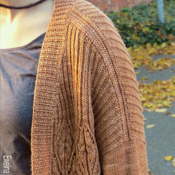 Cinnamon Twists Cardigan