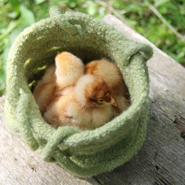 Banksia Bag