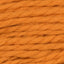 Pumpkin (2749)