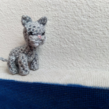 Tiny kitten