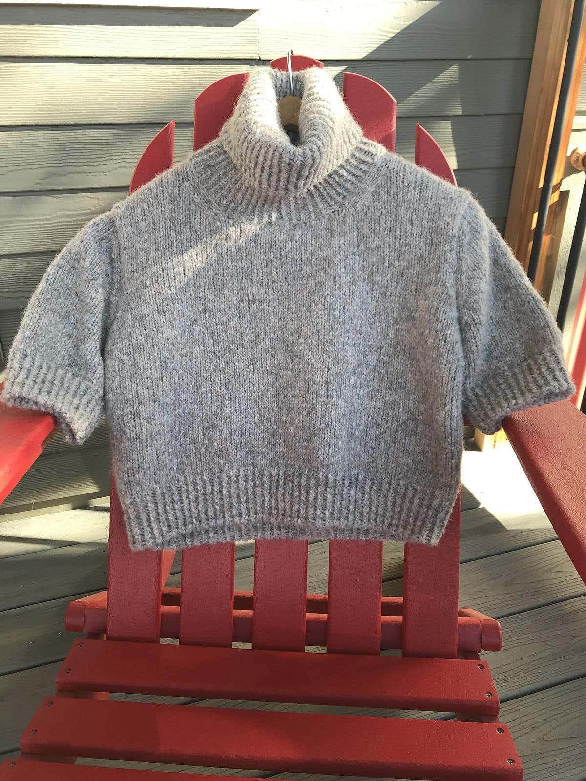 Turtle Tee