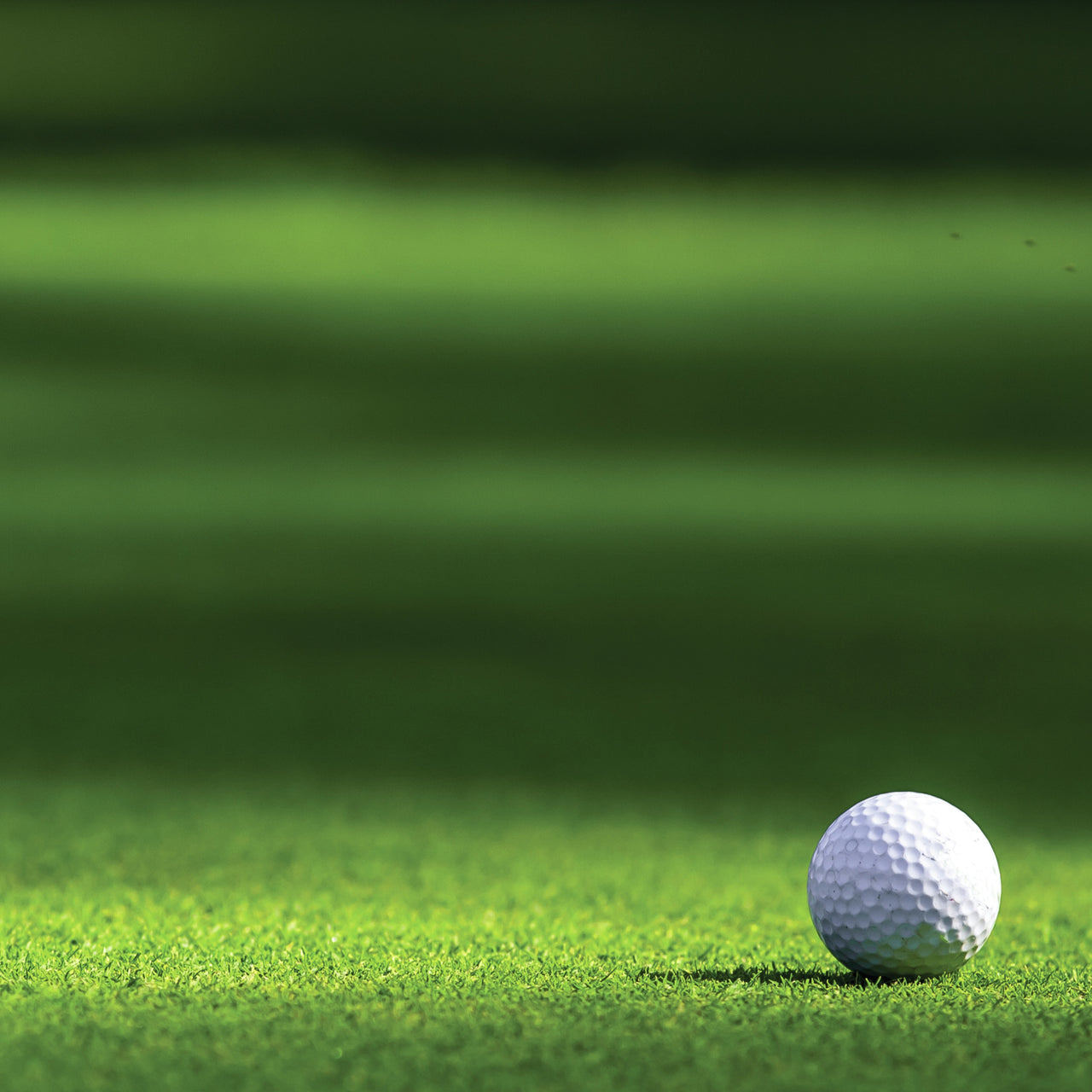 Reminisce Golf Double-Sided Cardstock 12"X12" 25/Pkg - Mini Golf
