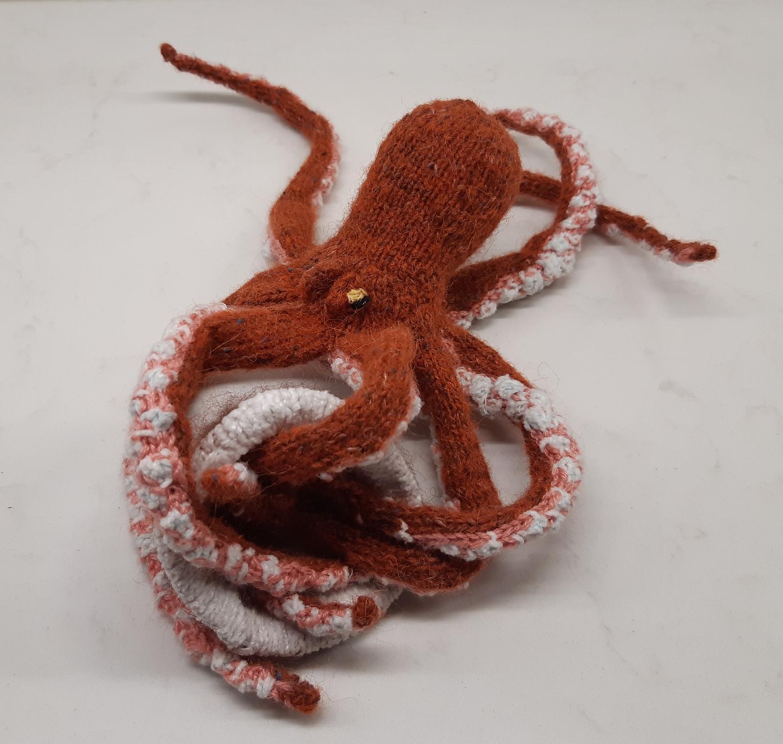 Octopus & coconut