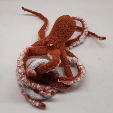 Octopus & coconut