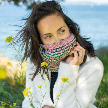 Tulip Fields Cowl