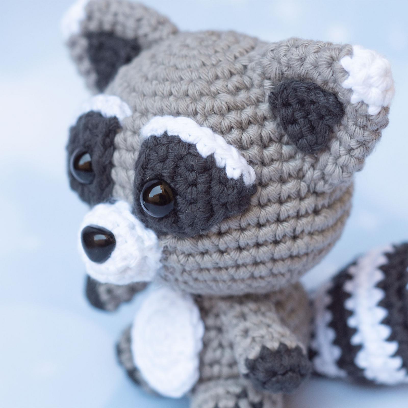 Baby Racoon