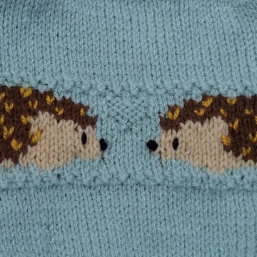 Hedgehog Sweater Set