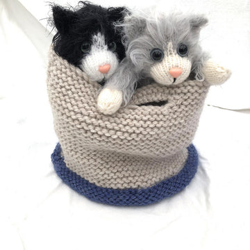 Kala Kitten and bag/basket
