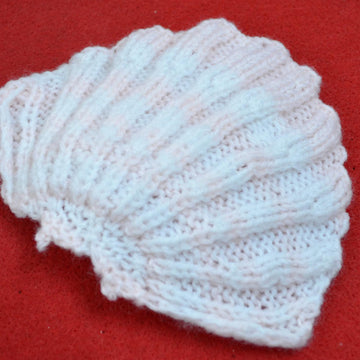 Scallop Shell