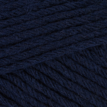 Navy Night (20)